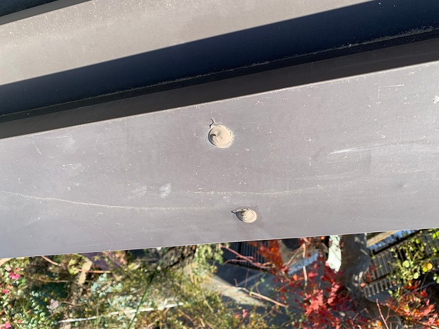 ビスシーリング